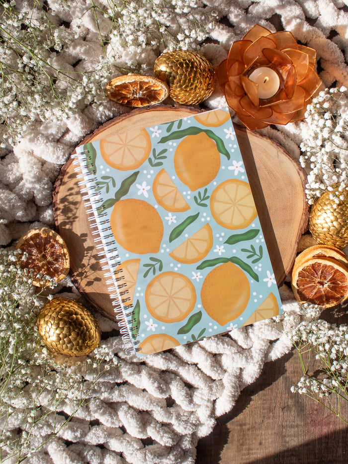 Lemons Reusable Sticker Collecting Book