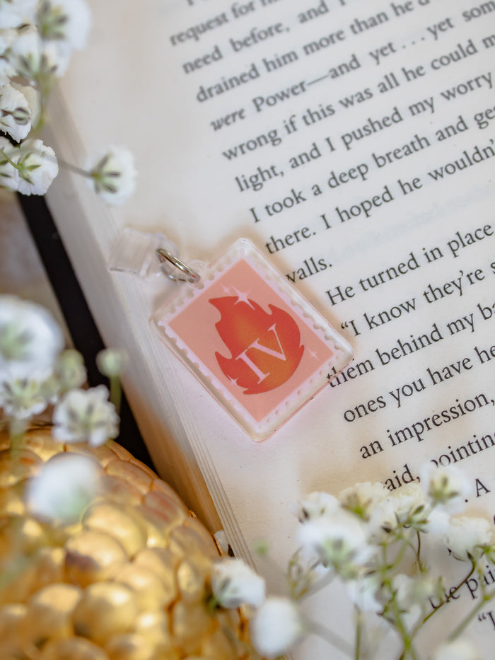 Fourth Wing Flame Stamp USB-C Dust Plug Kindle / Phone Charm