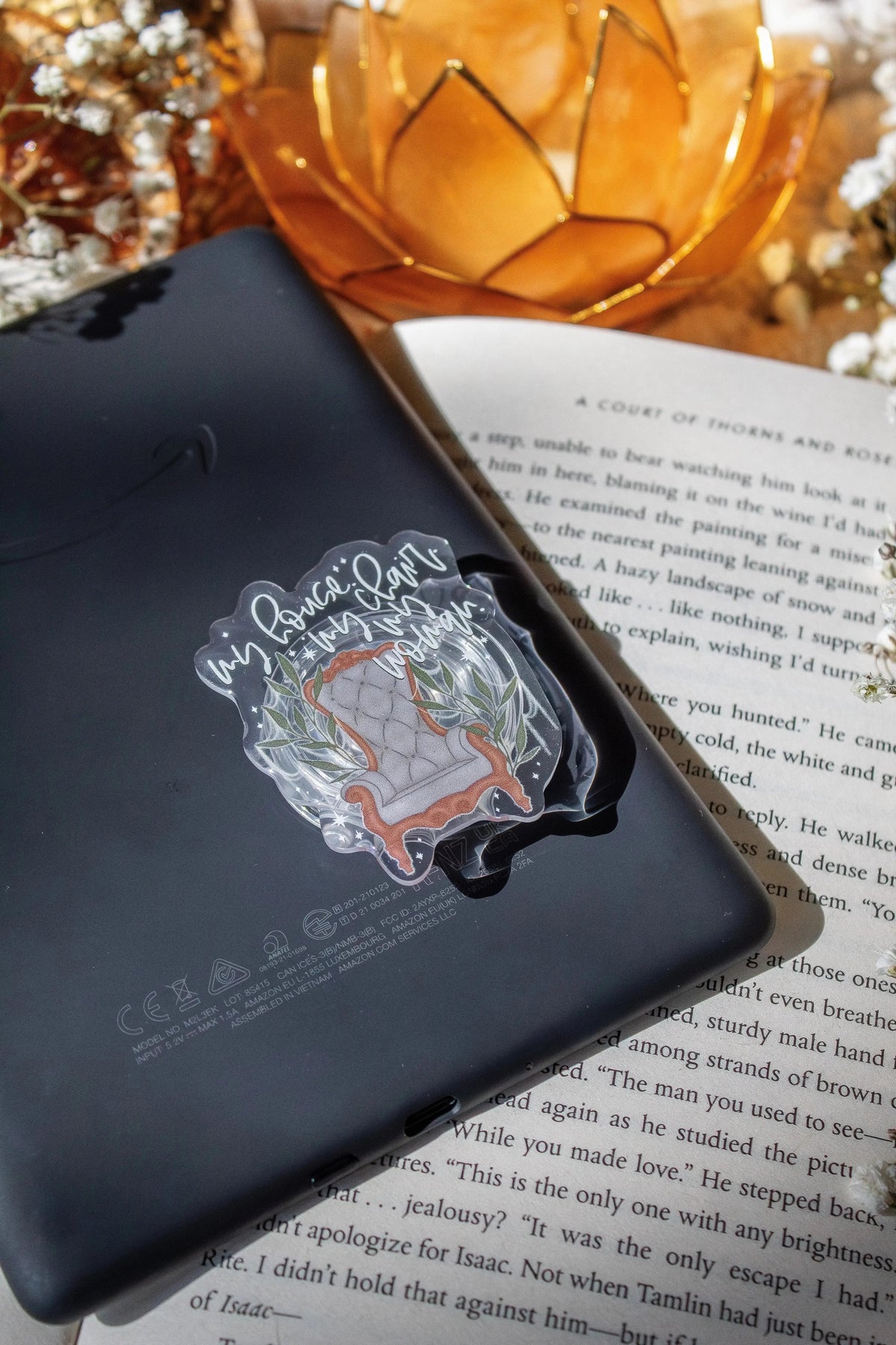 Fourth Wing Xaden's Throne Kindle / Phone Grip