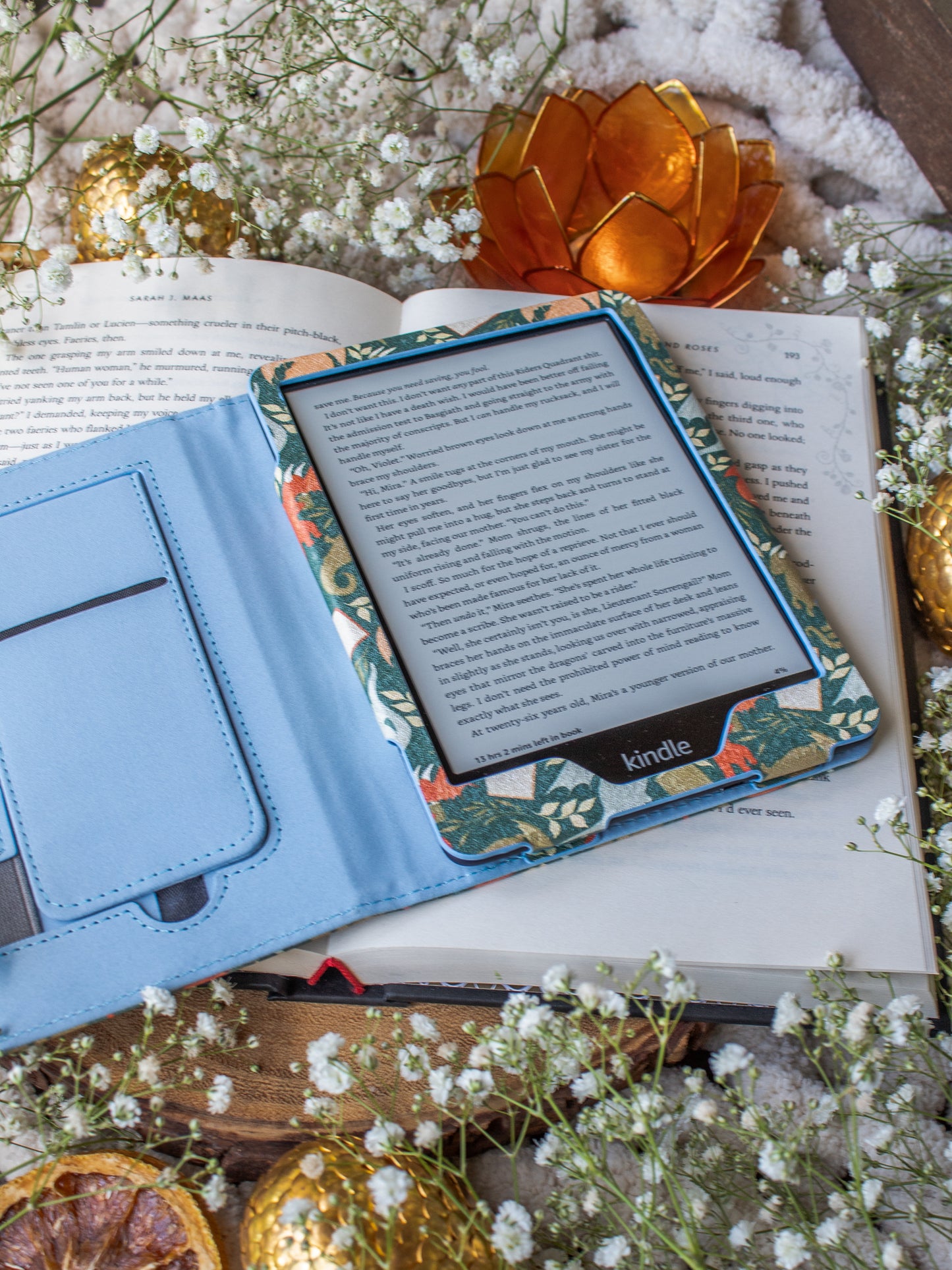 Little Book Dragons | Kindle Case
