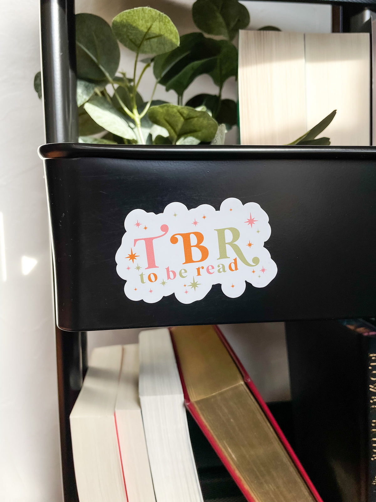 Colorful TBR To Be Read Magnet