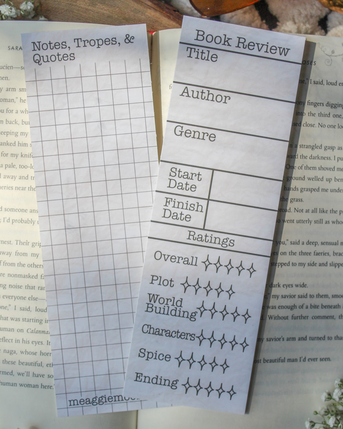 Book Review Bookmarks | Spice Rating Section