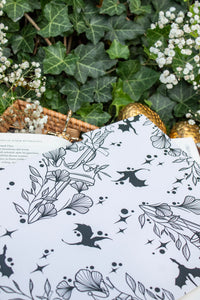Bookish File Folders Set of 3 | Ivory Swords