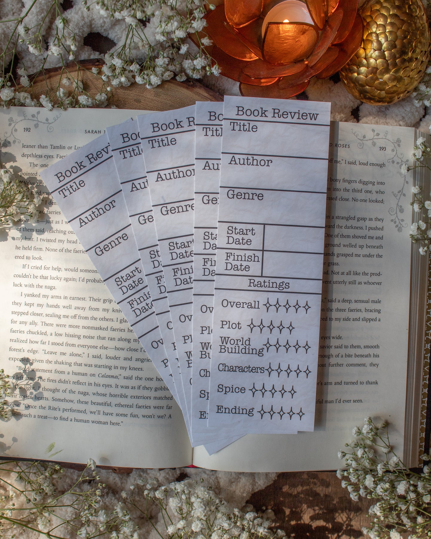 Book Review Bookmarks | Spice Rating Section