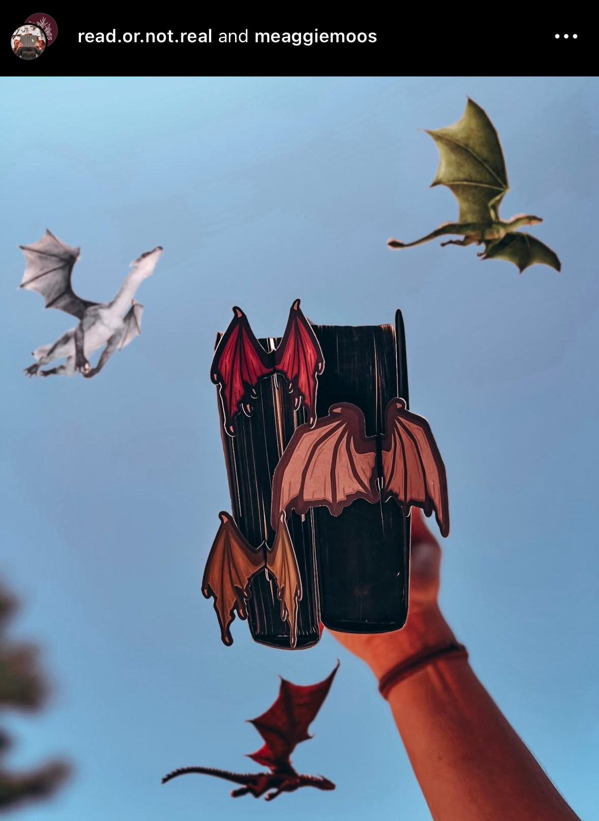 Maroon Dragon Wings 3D Bookmark