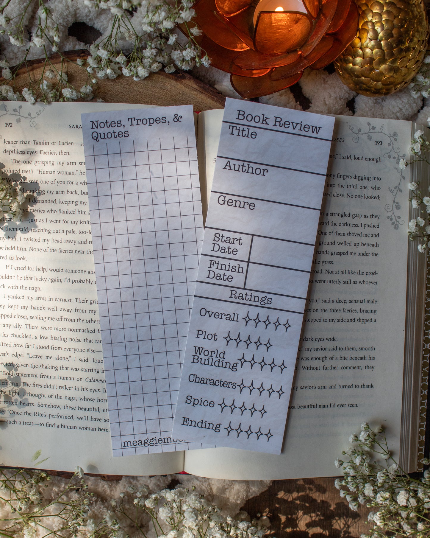 Book Review Bookmarks | Spice Rating Section