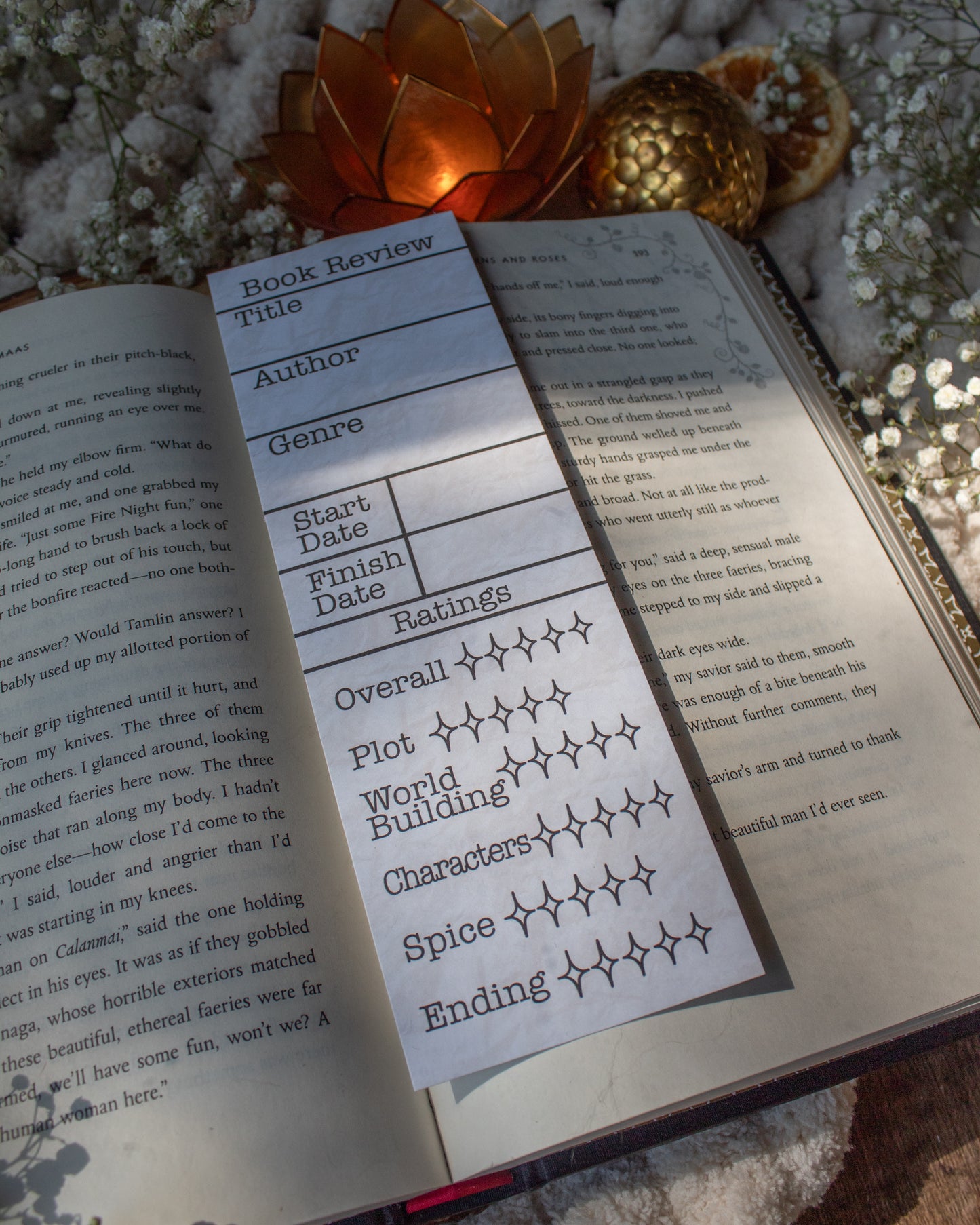 Book Review Bookmarks | Spice Rating Section