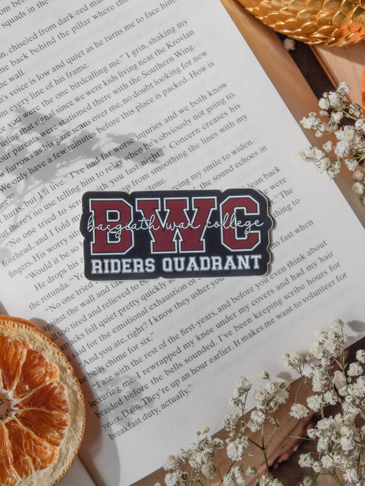 15 Stickers | Fourth Wing Sticker Bundle