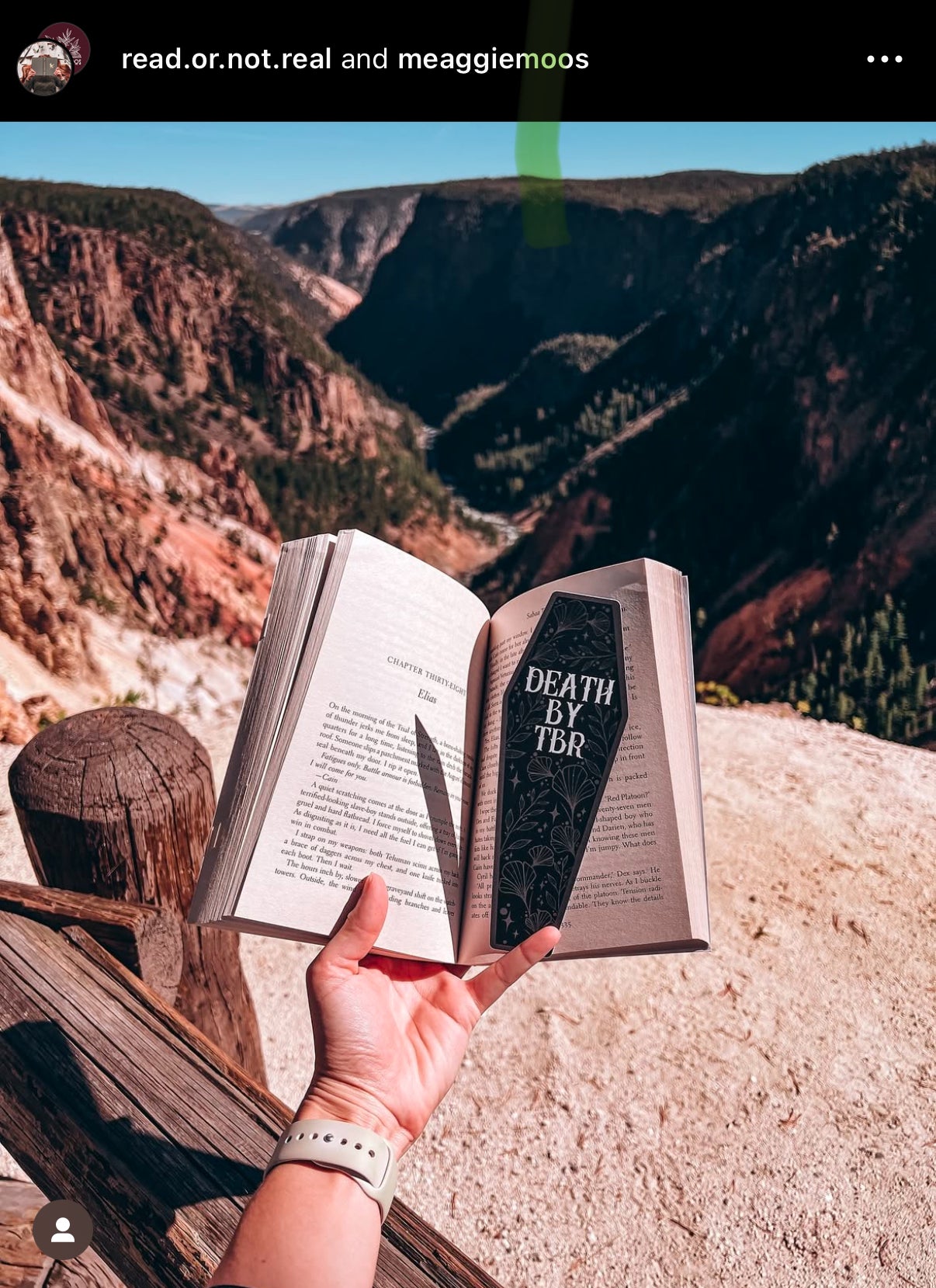 Death By TBR Coffin Bookmark