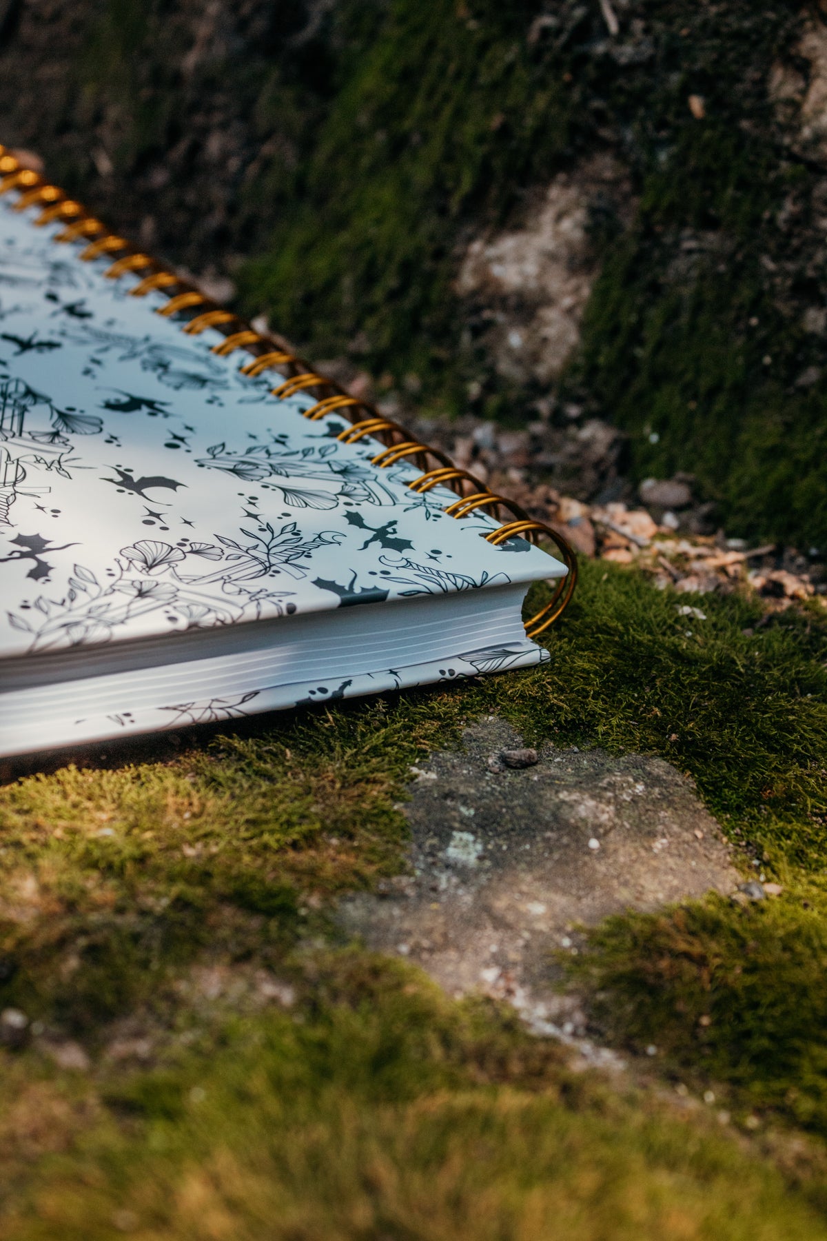 Ivory Swords Hardcover Notebook