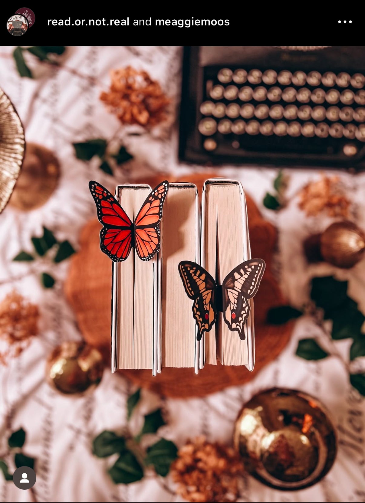 Swallowtail Butterfly Wings 3D Bookmark