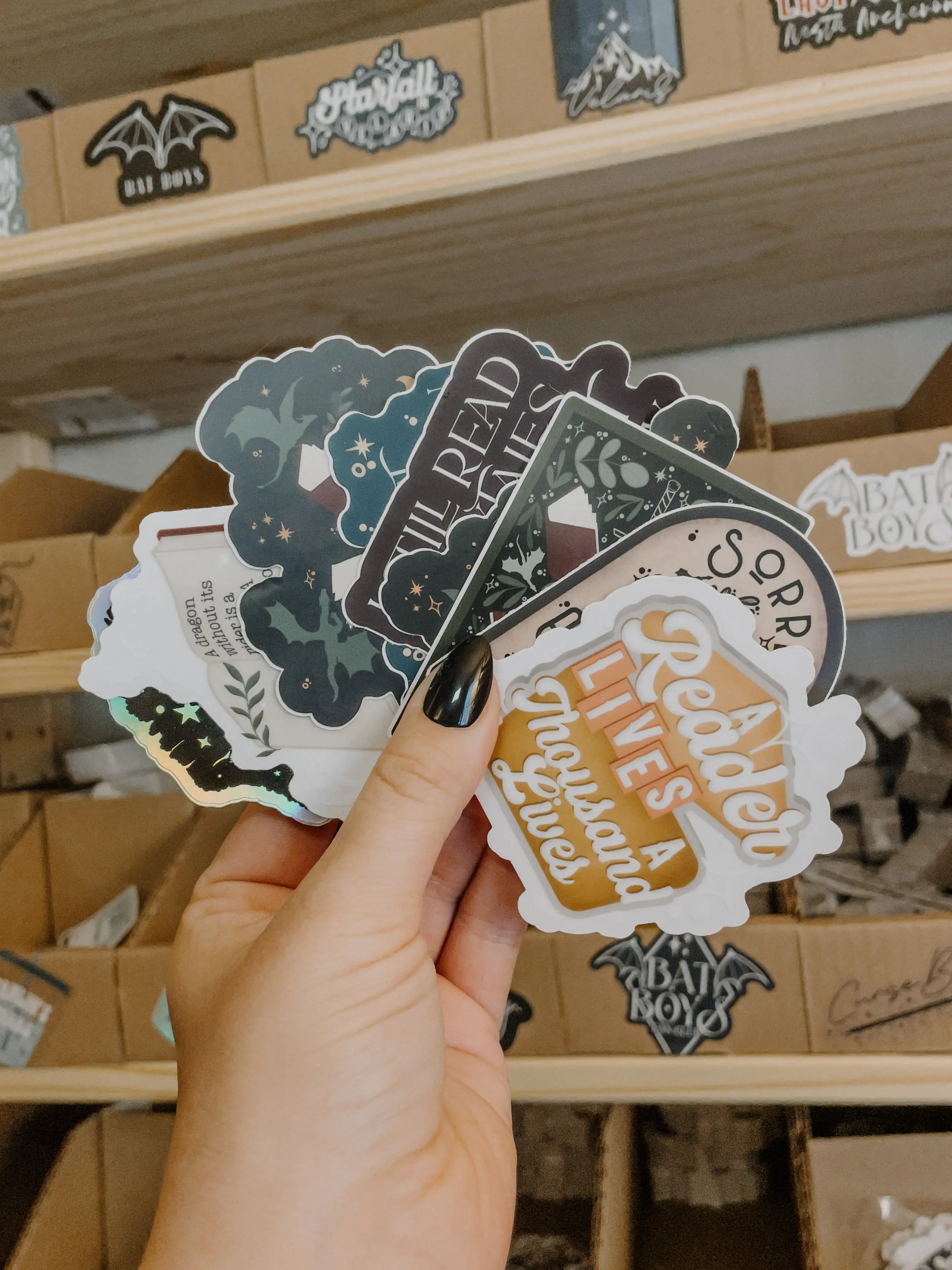 Level B Sticker MYSTERY B-Grade Sticker Pack | 10 Waterproof Vinyl Stickers – Meaggie Moos