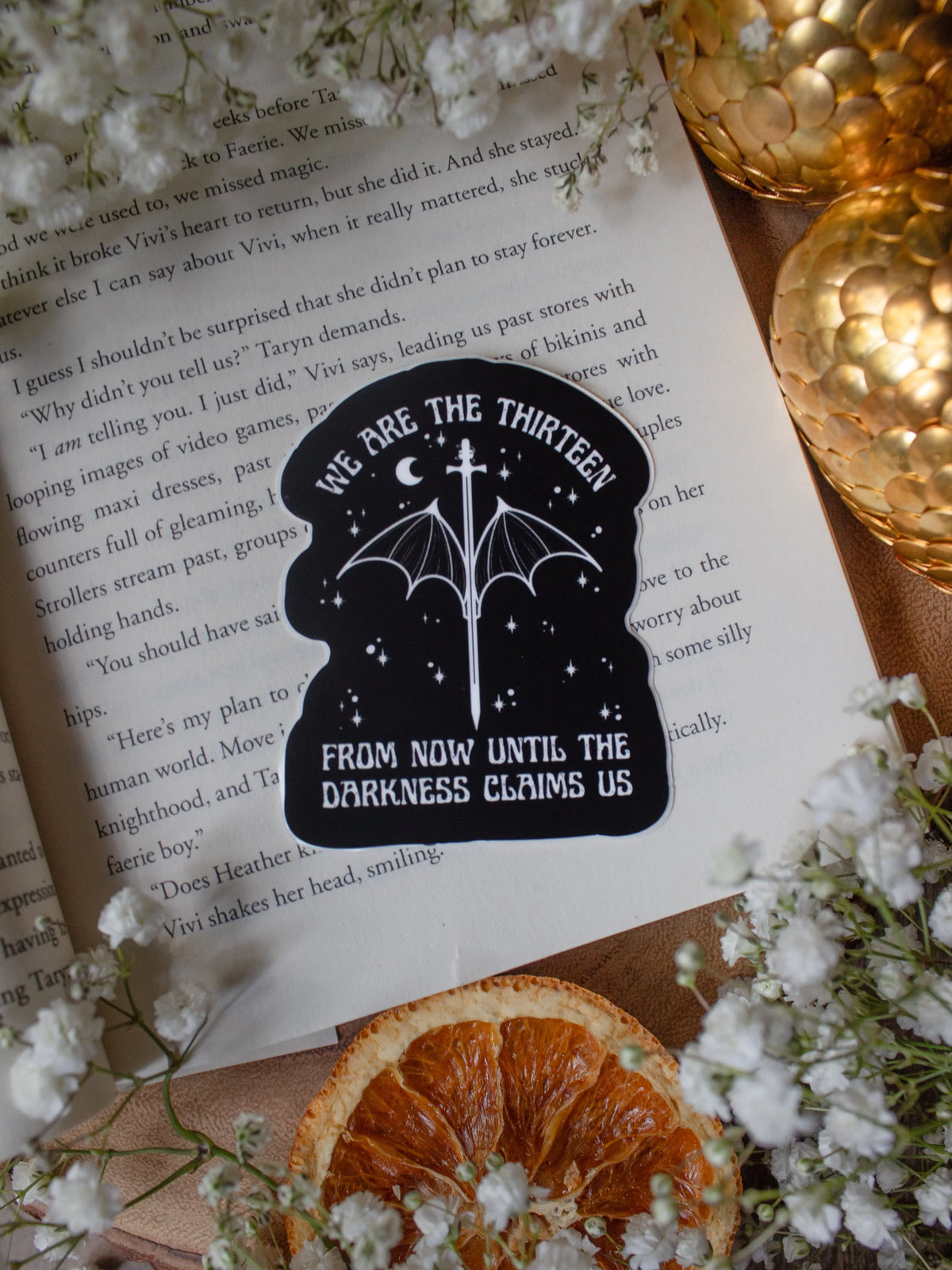 Throne of Glass Bundle Meaggie Moos