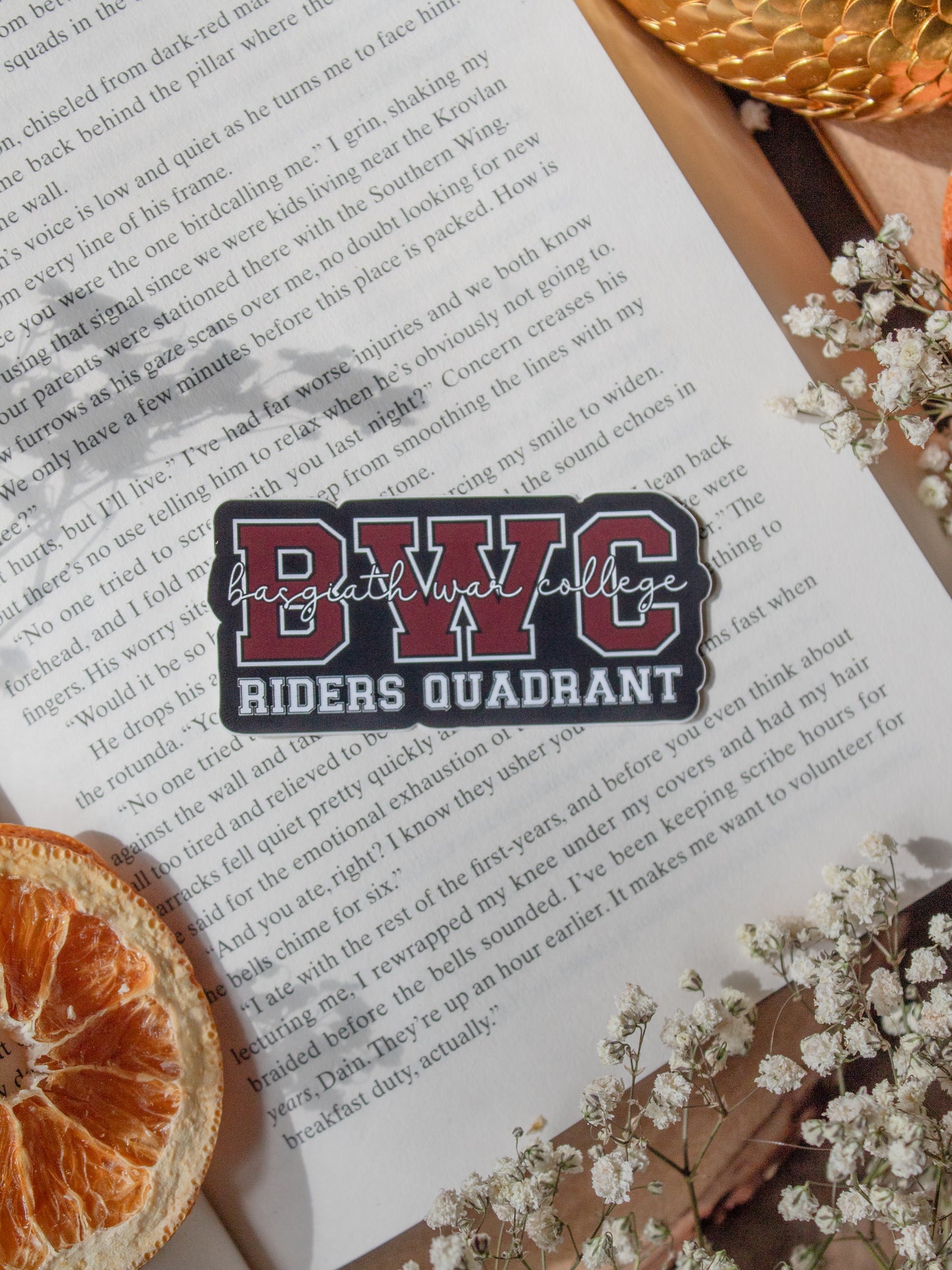 BWC Basgiath War College Riders Quadrant Waterproof Sticker | Fourth Wing | 3”x2”