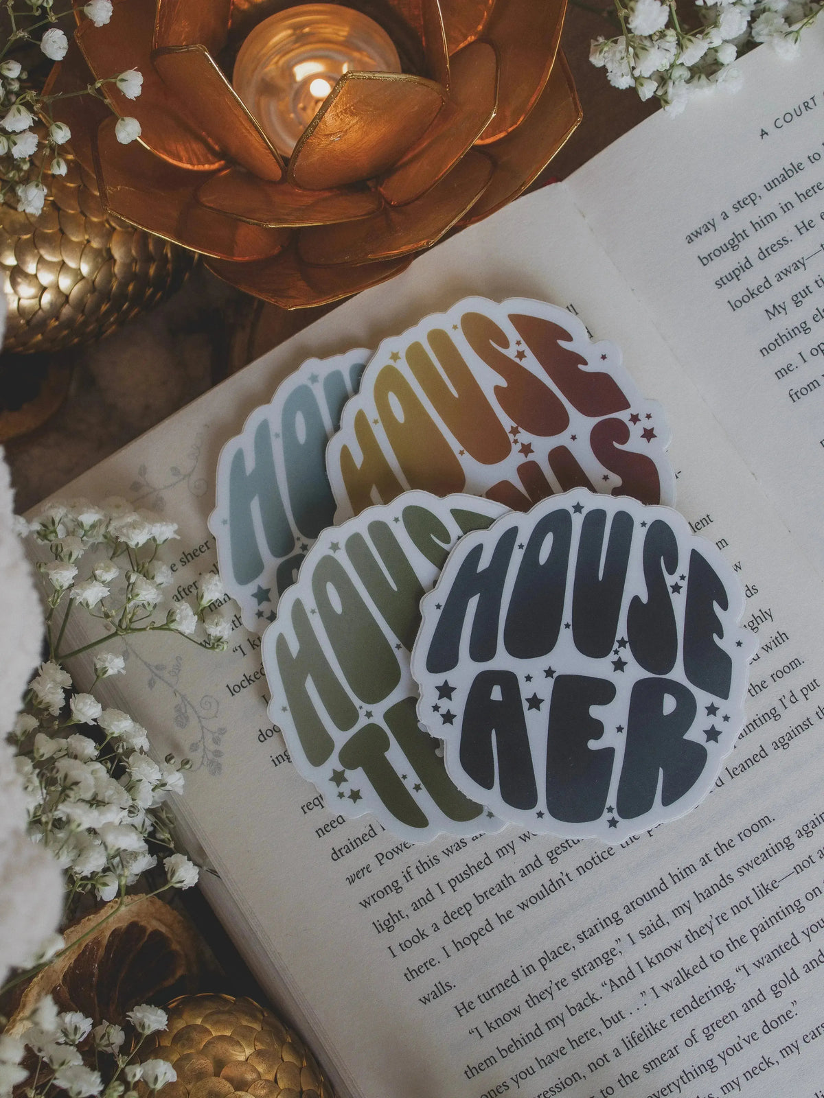 Zodiac Academy Sticker | House Aqua