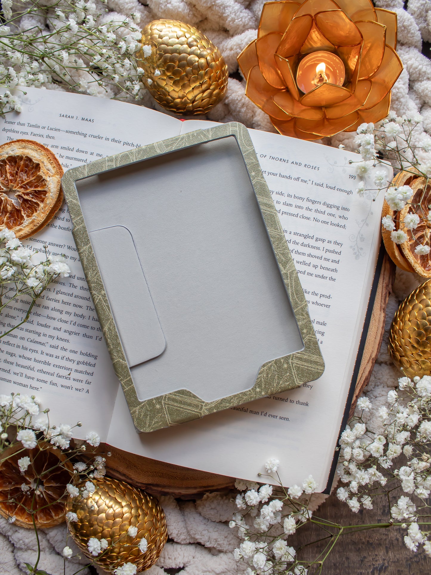 Green Books | Kindle Case