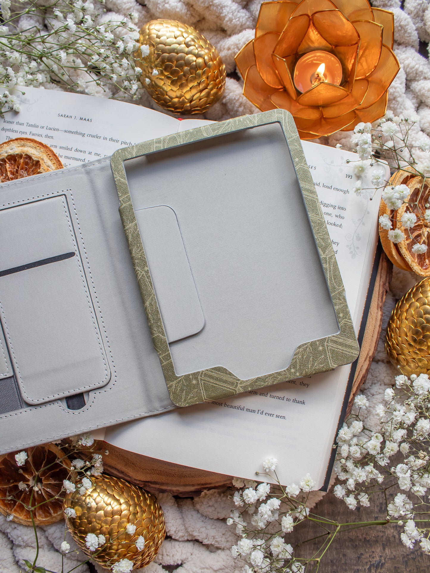 Green Books | Kindle Case