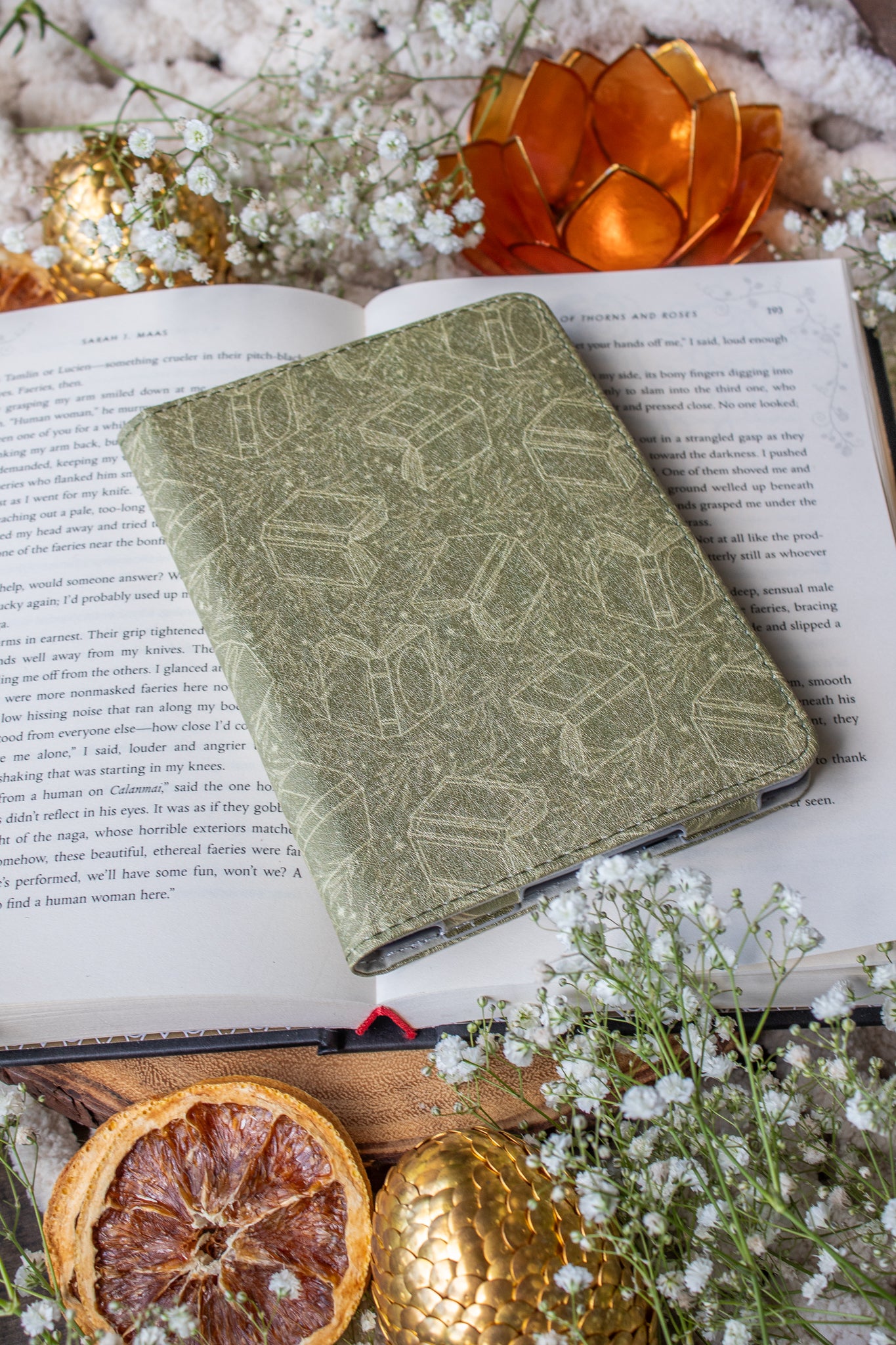 Green Books | Kindle Case