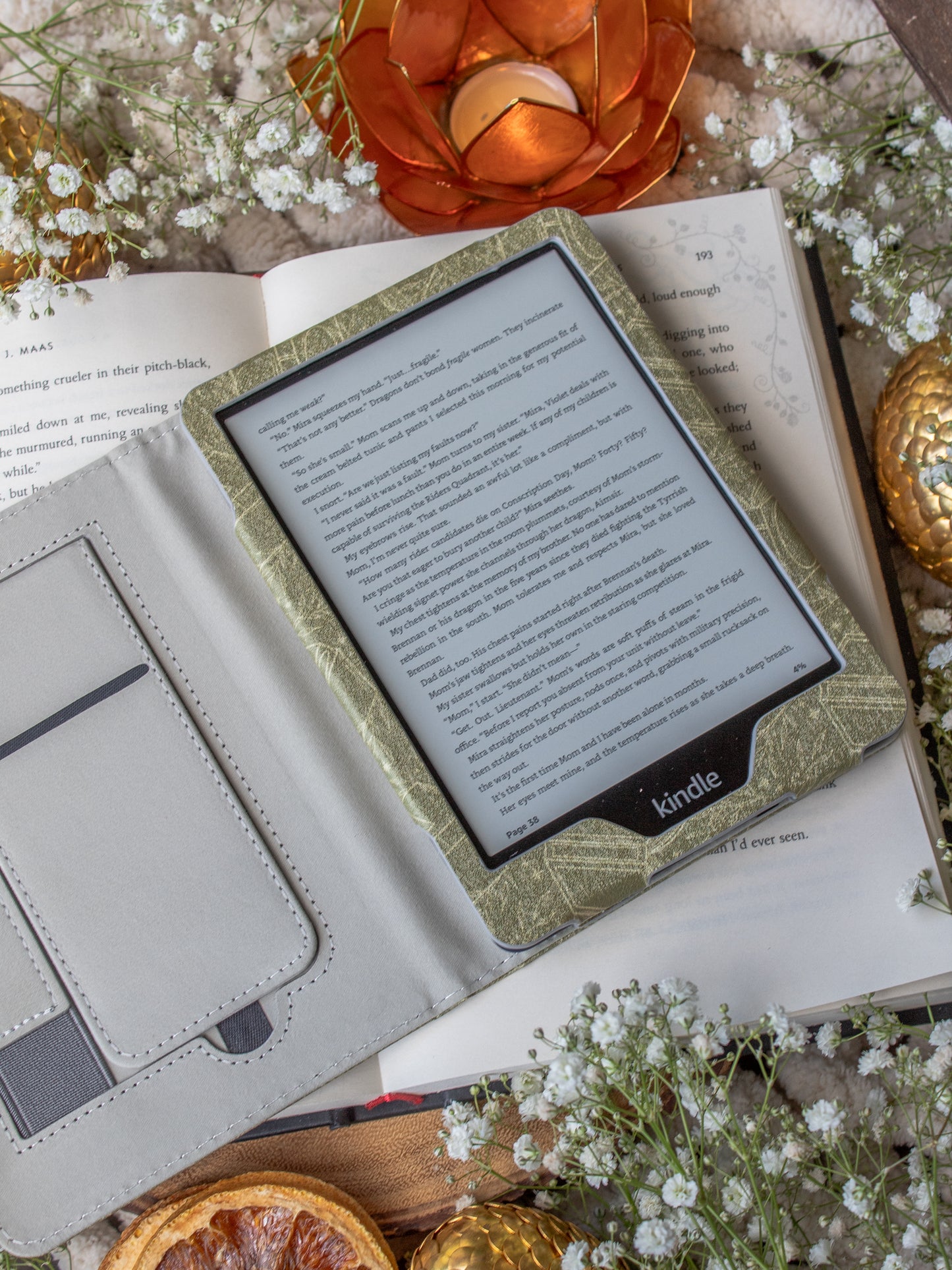 Green Books | Kindle Case