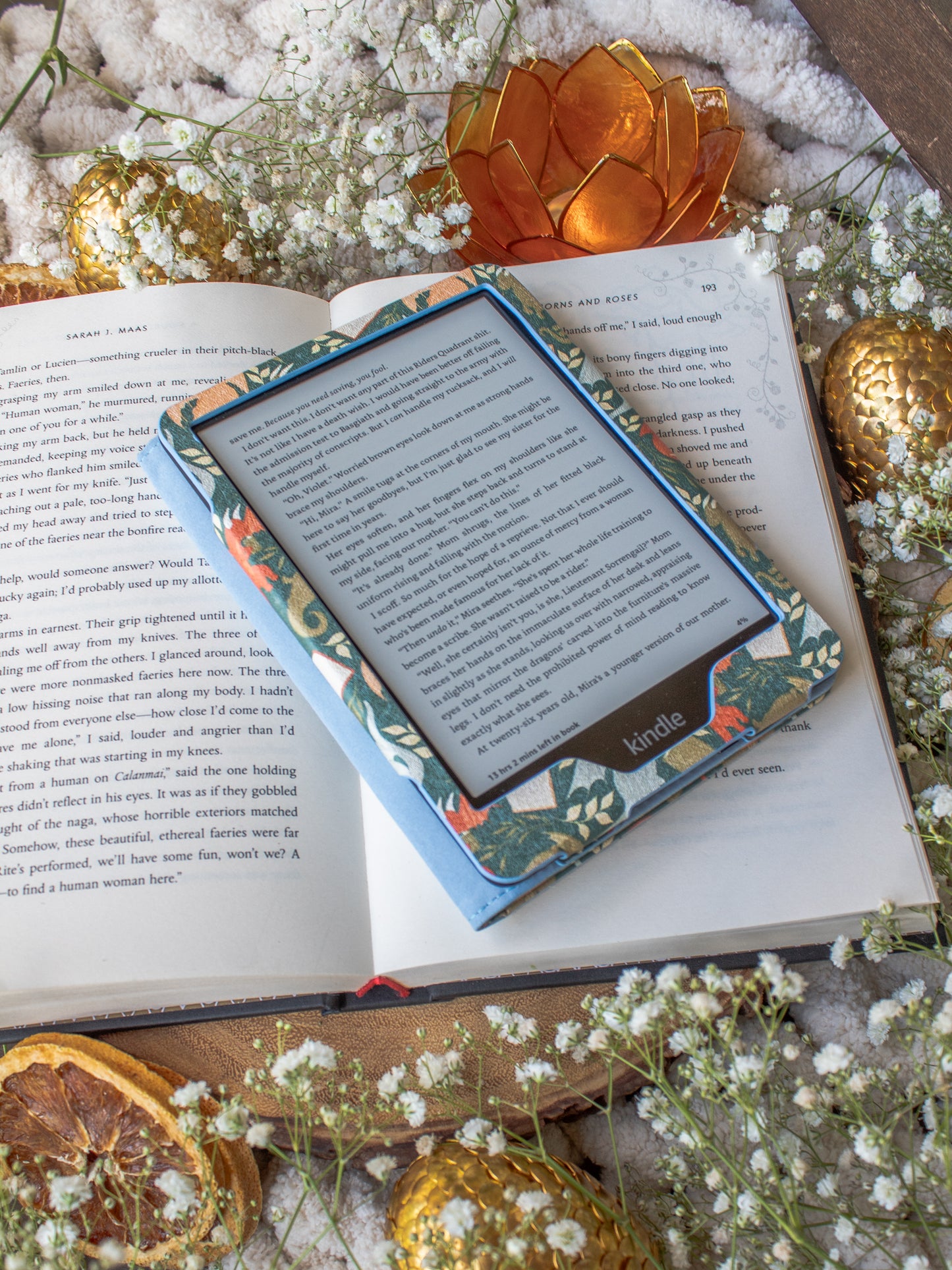 Little Book Dragons | Kindle Case