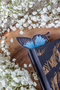 Ulysses Butterfly Wings 3D Bookmark