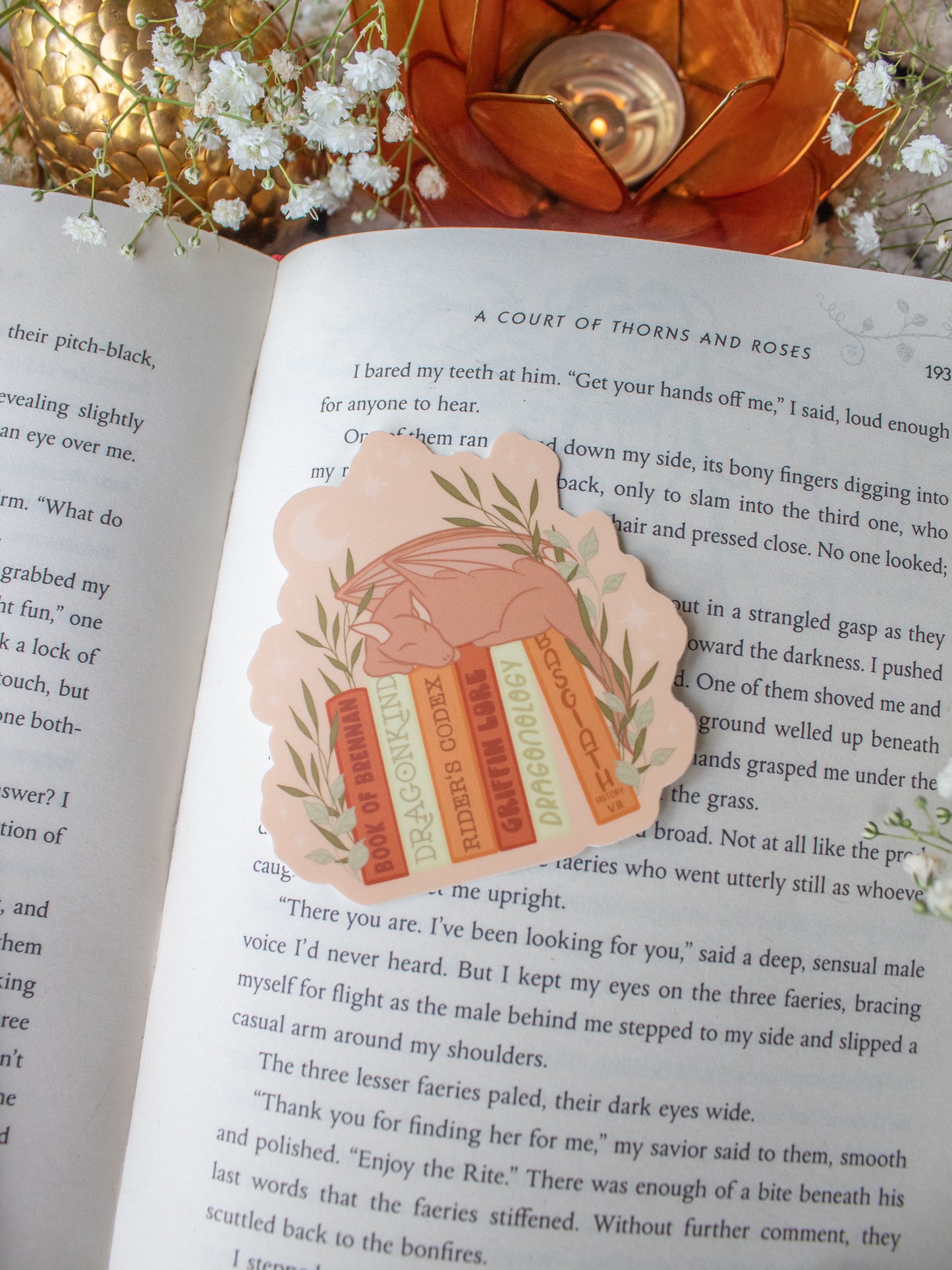 Basgiath Dragon Bookshelf Waterproof Sticker | Fourth Wing | 3”x2.9"