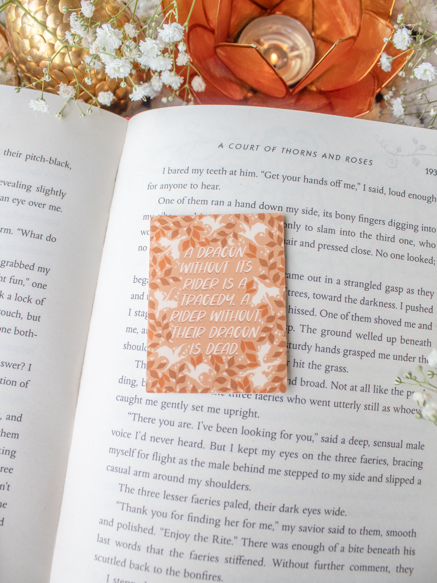 Fourth Wing Quote Tile Sticker Bundle | Set of 3