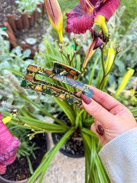 Hair Claw Clip | Shire