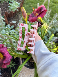 Bookish Hair Claw Clip | Sucker for Smut