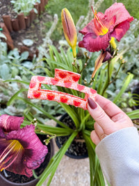 Bookish Hair Claw Clip | Flaming Heart