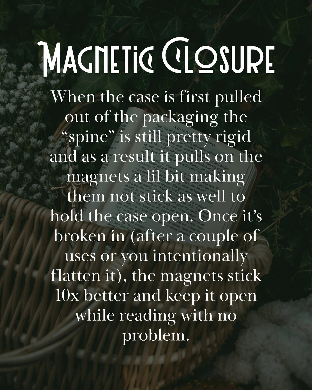 Kindle Case | Ivory Swords