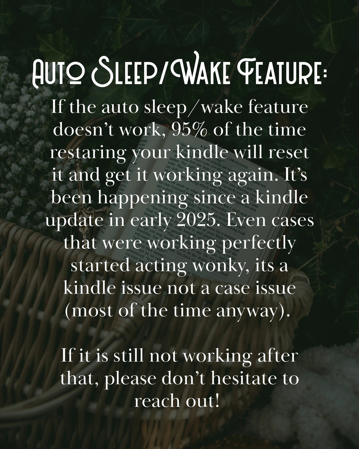 Kindle Case | Ivory Swords