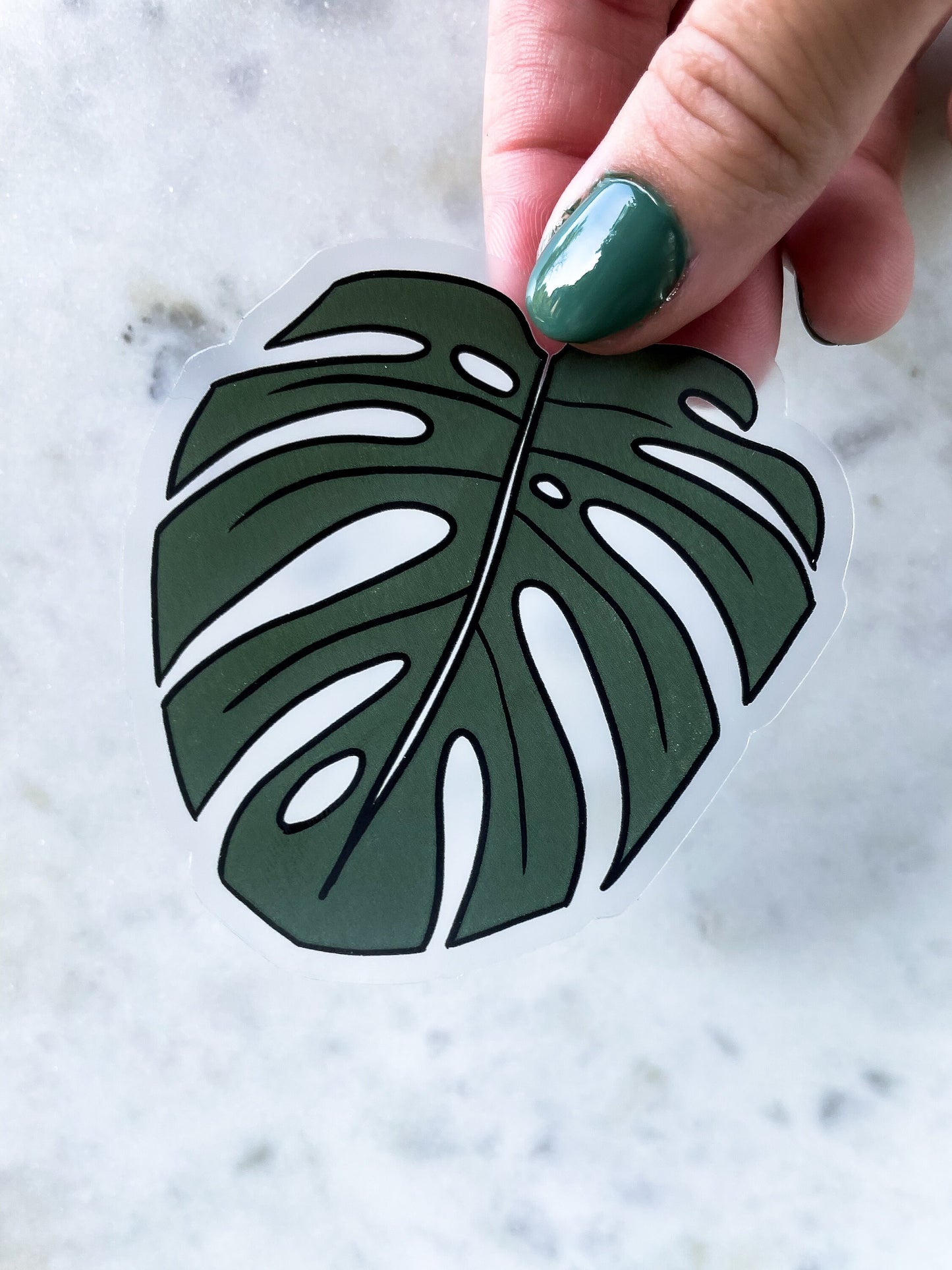 Monstera Waterproof Sticker | 3" x 2.9"