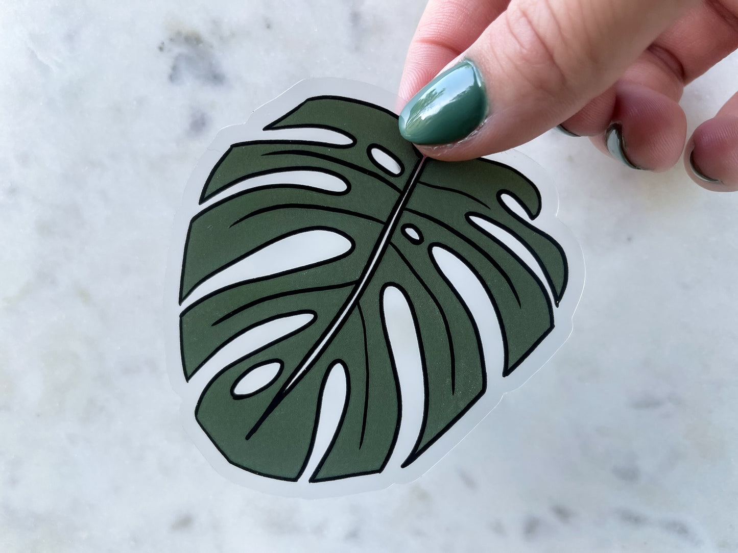 Monstera Waterproof Sticker | 3" x 2.9"