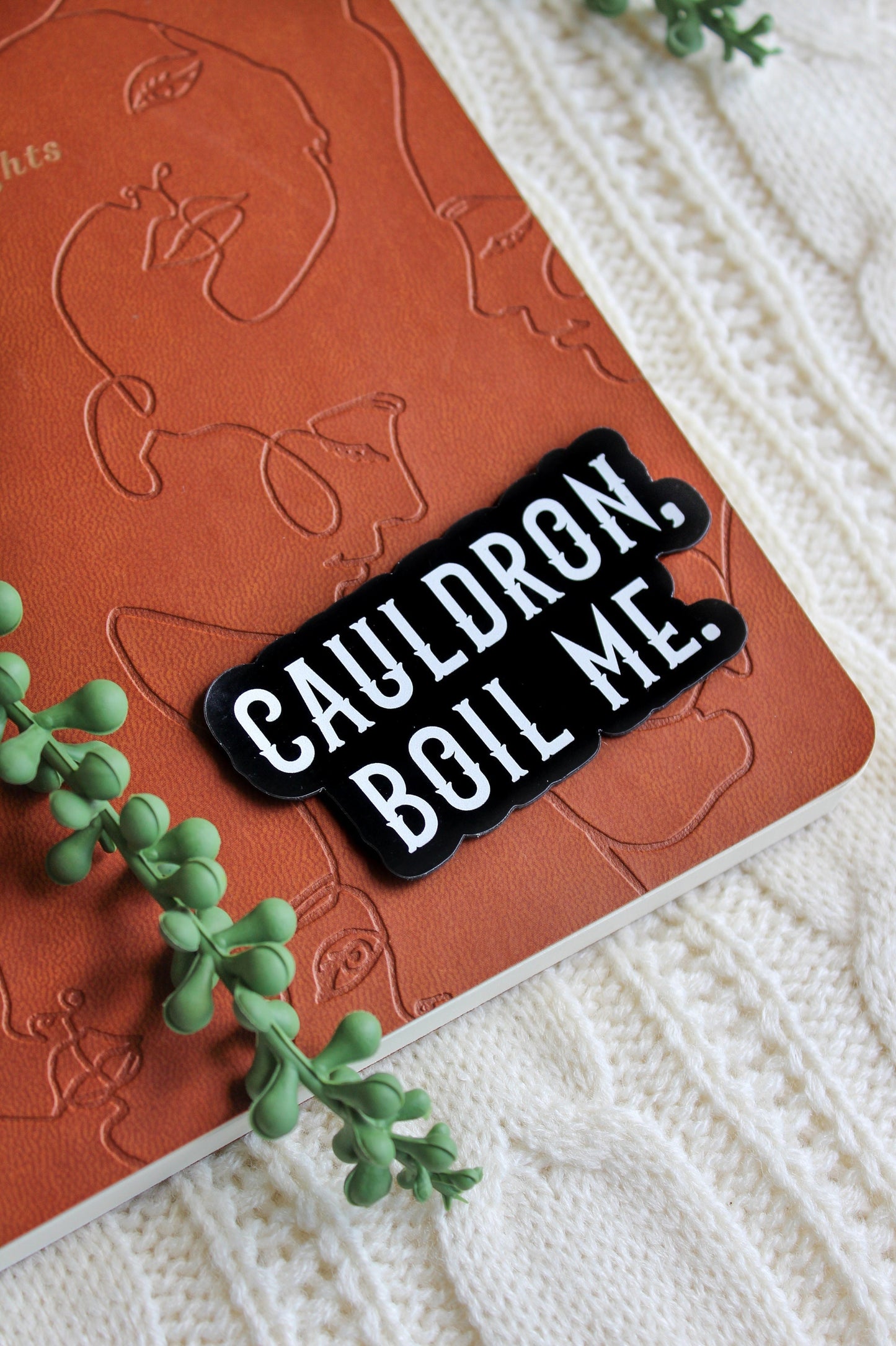 Cauldron Boil Me Magnet | A Court of Thorns and Roses | 3"x1.52"