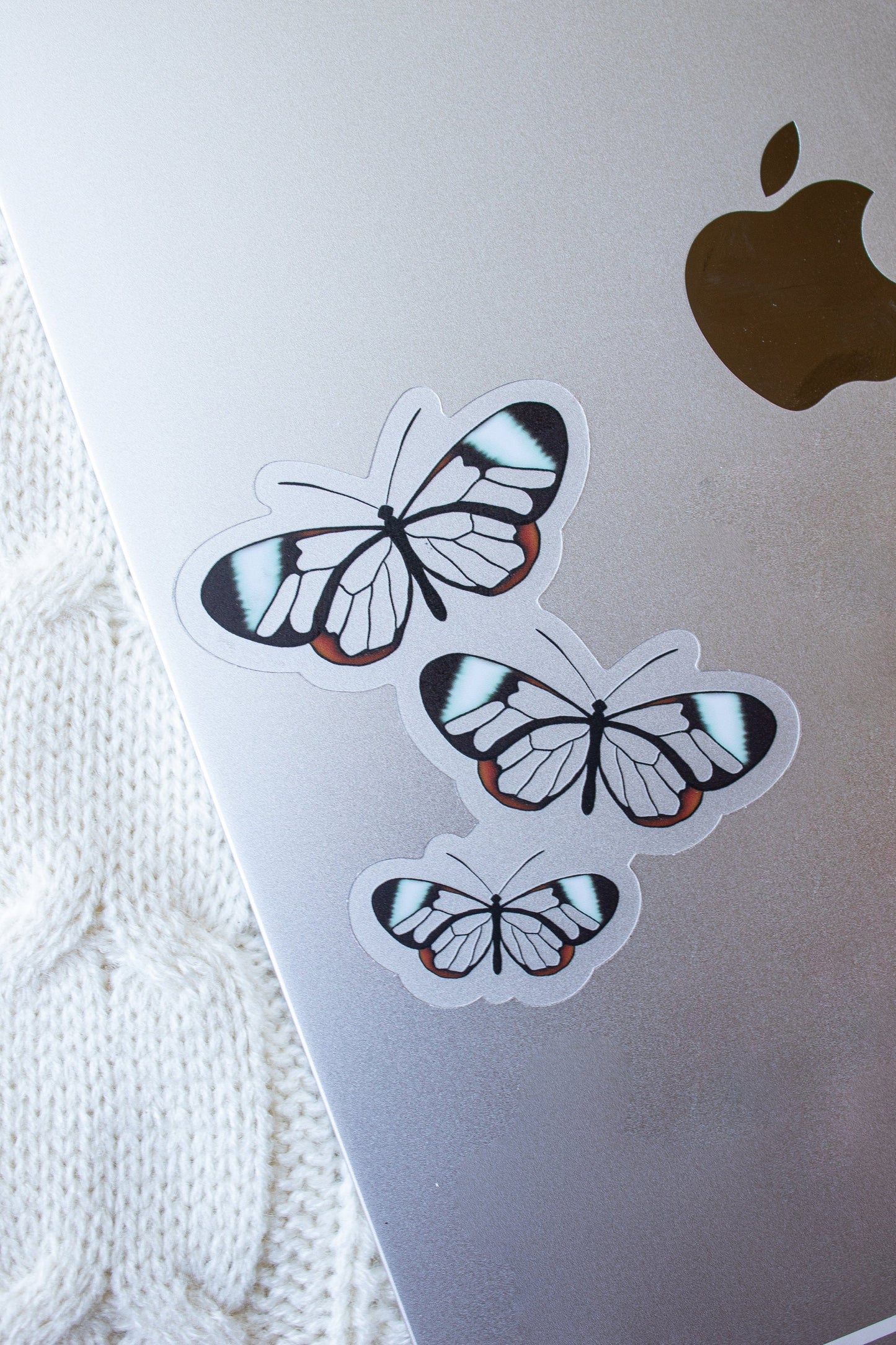 Glass Wing Butterflies Waterproof Sticker | 3"x2.8"