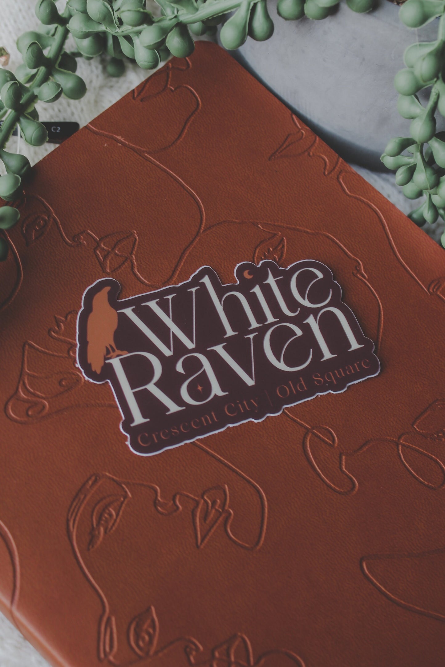 White Raven Waterproof Sticker | Crescent City | SJM | 3"x2"