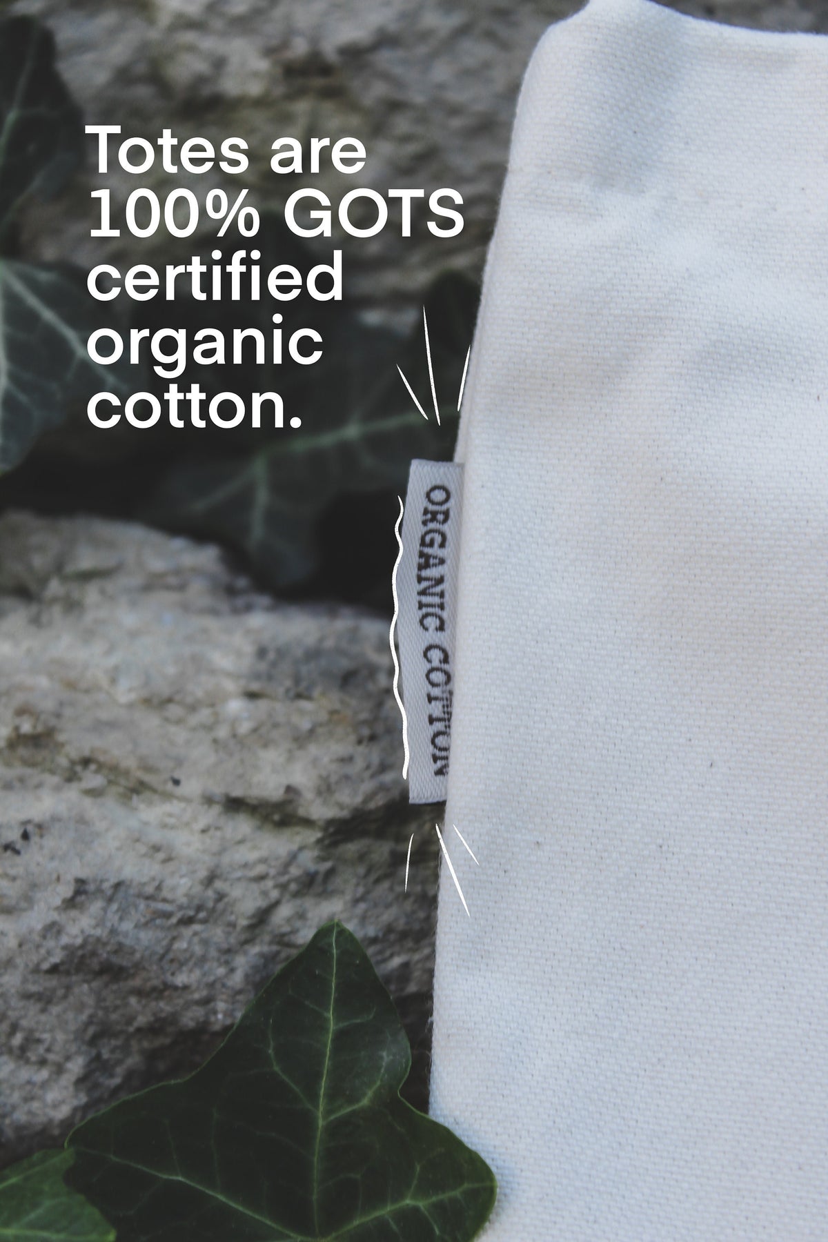 Books Are Magic Organic Cotton Canvas Tote Bag with Gusset | 12 OZ | 14.5"x14"x3 | Book Lover Market Bag | Bookish Merch Gifts | Bookworm