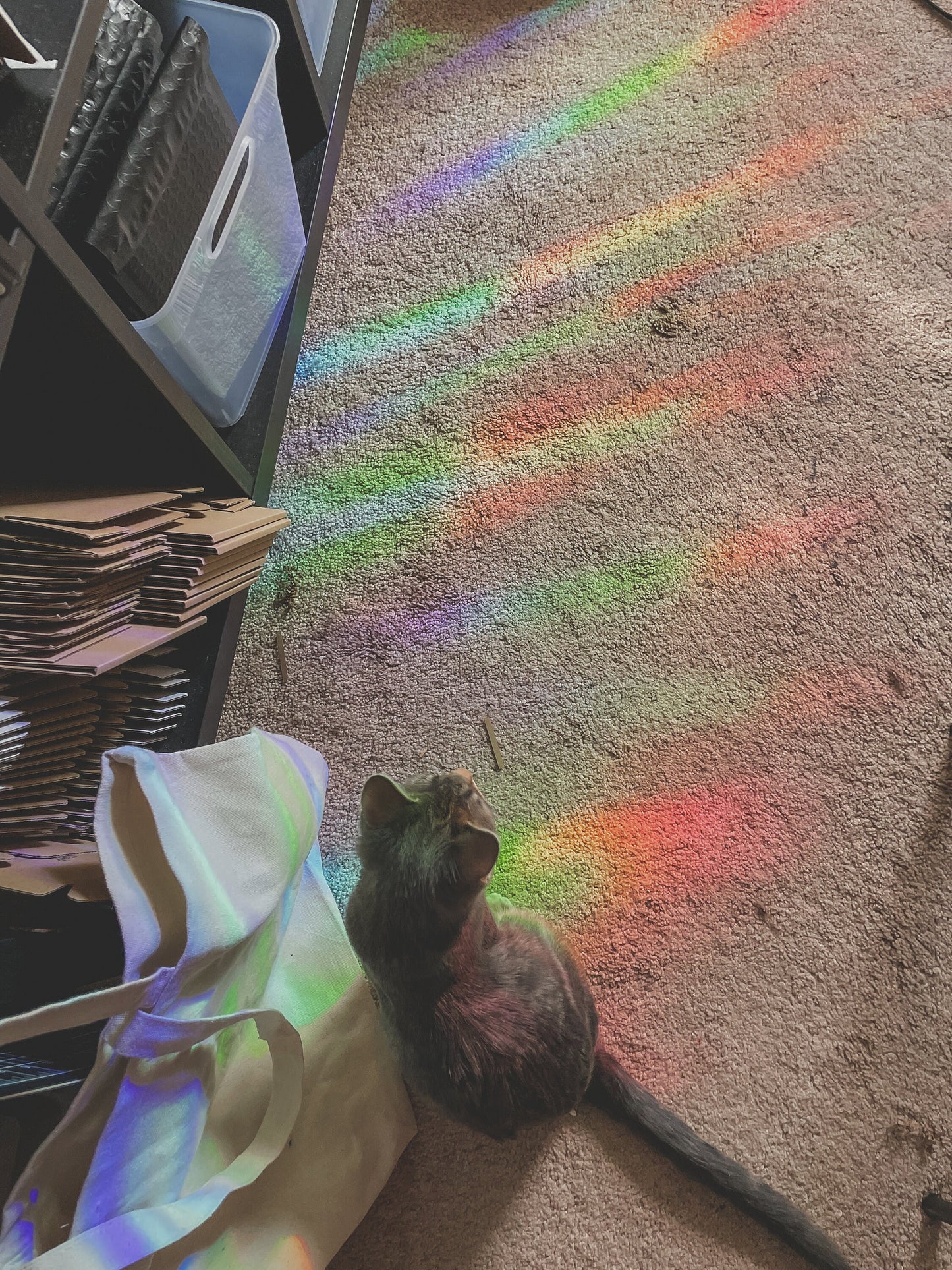 Cozy Bookshelf Suncatcher Window Sticker | 4"x2.6"