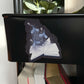 Magical Fantasy Book Dragon Magnet