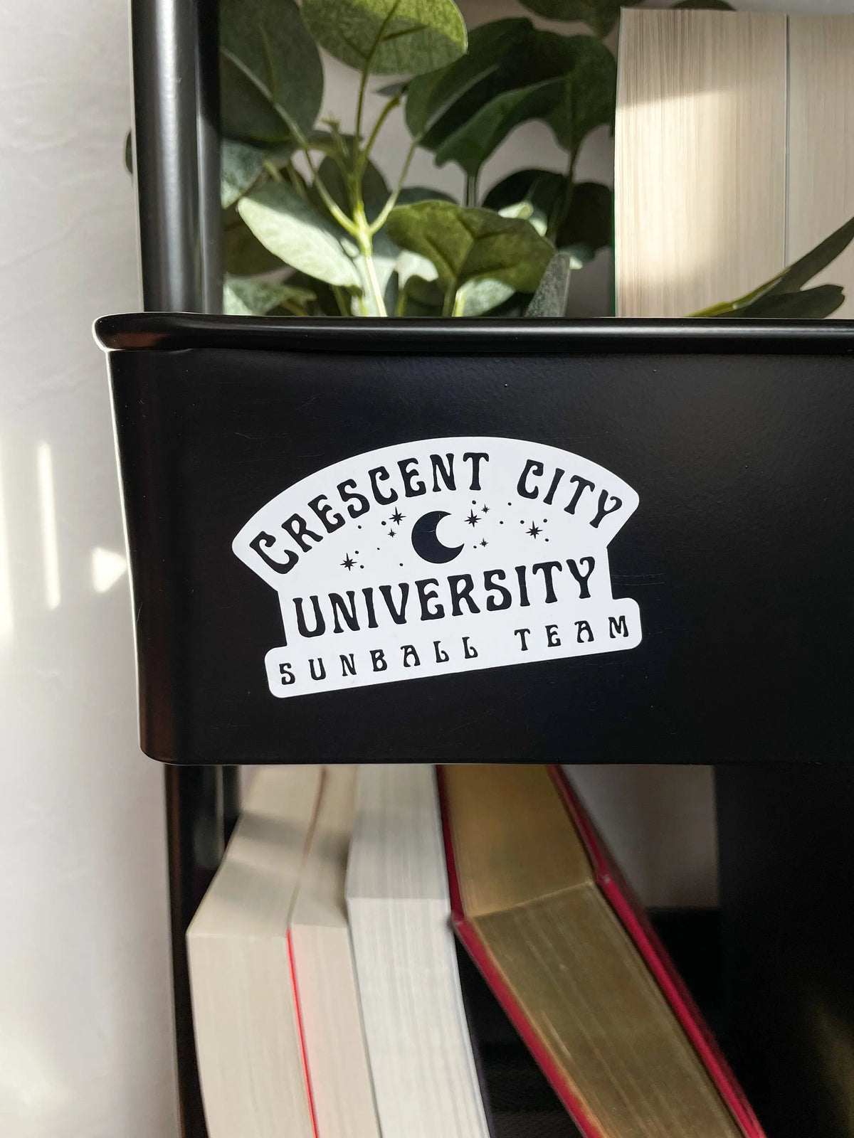 Crescent City University Sunball Team Magnet | SJM Bookish Magnet | Book Merch |  Reader Gift | 3" | Glossy